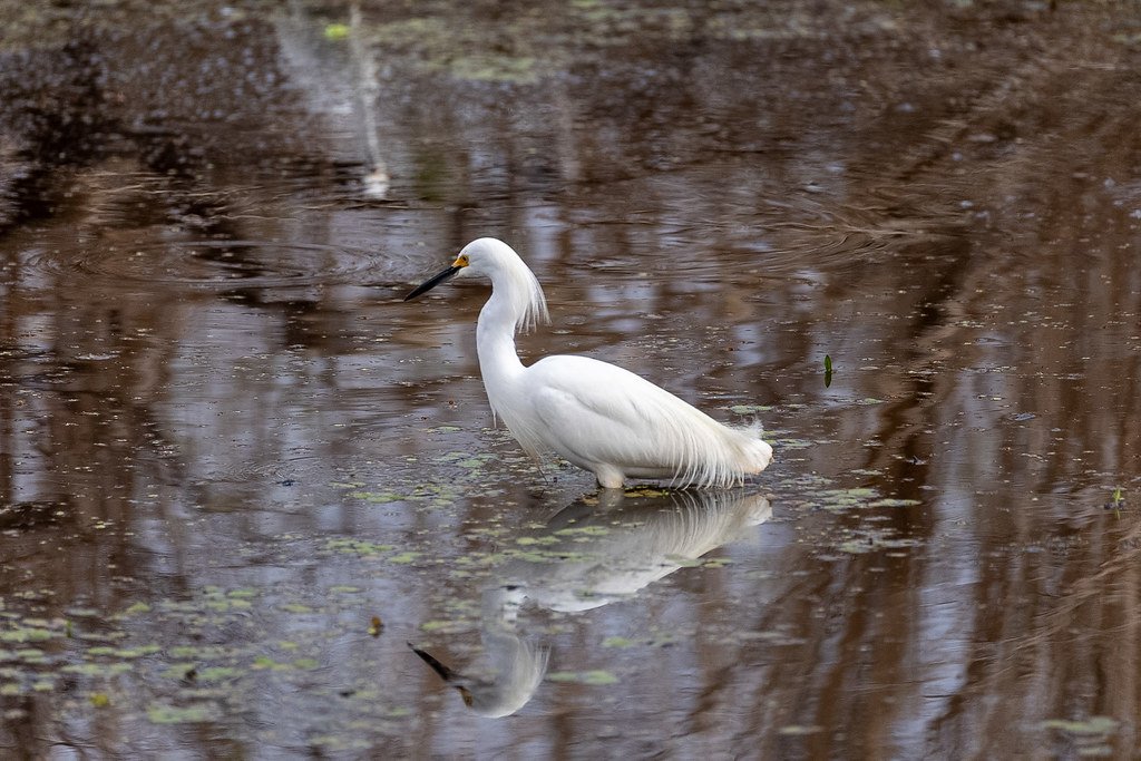 Momento de regulação emocional e pausa consciente