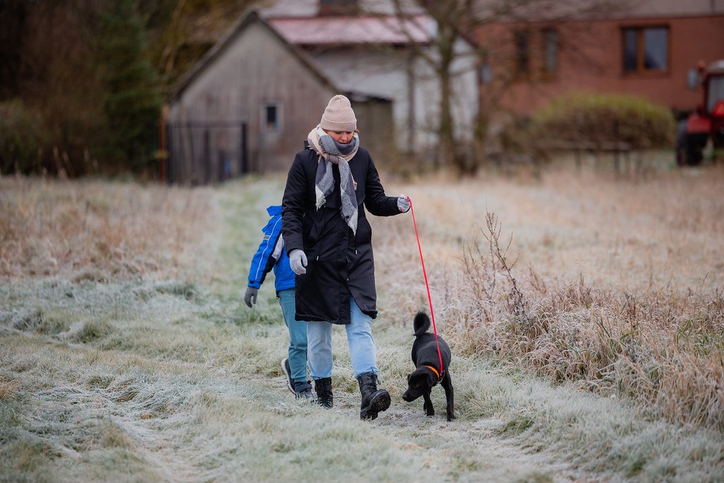 Apoio emocional e reorganização com empatia