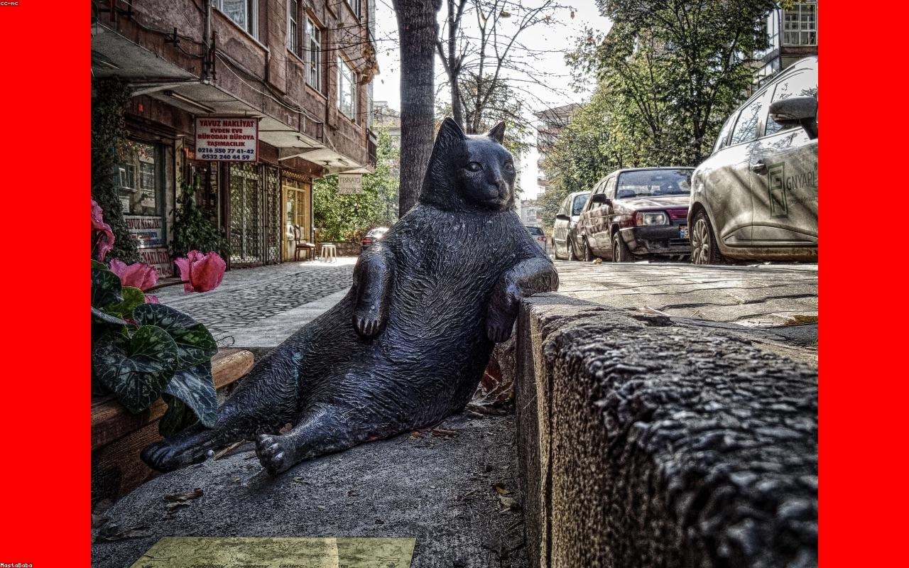 Apoio emocional e reorganização com empatia