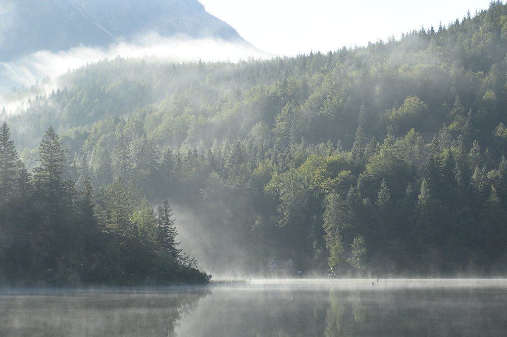 Momento de regulação emocional e pausa consciente
